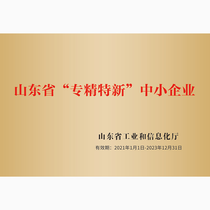 山東省專(zhuān)精特新中小企業(yè)